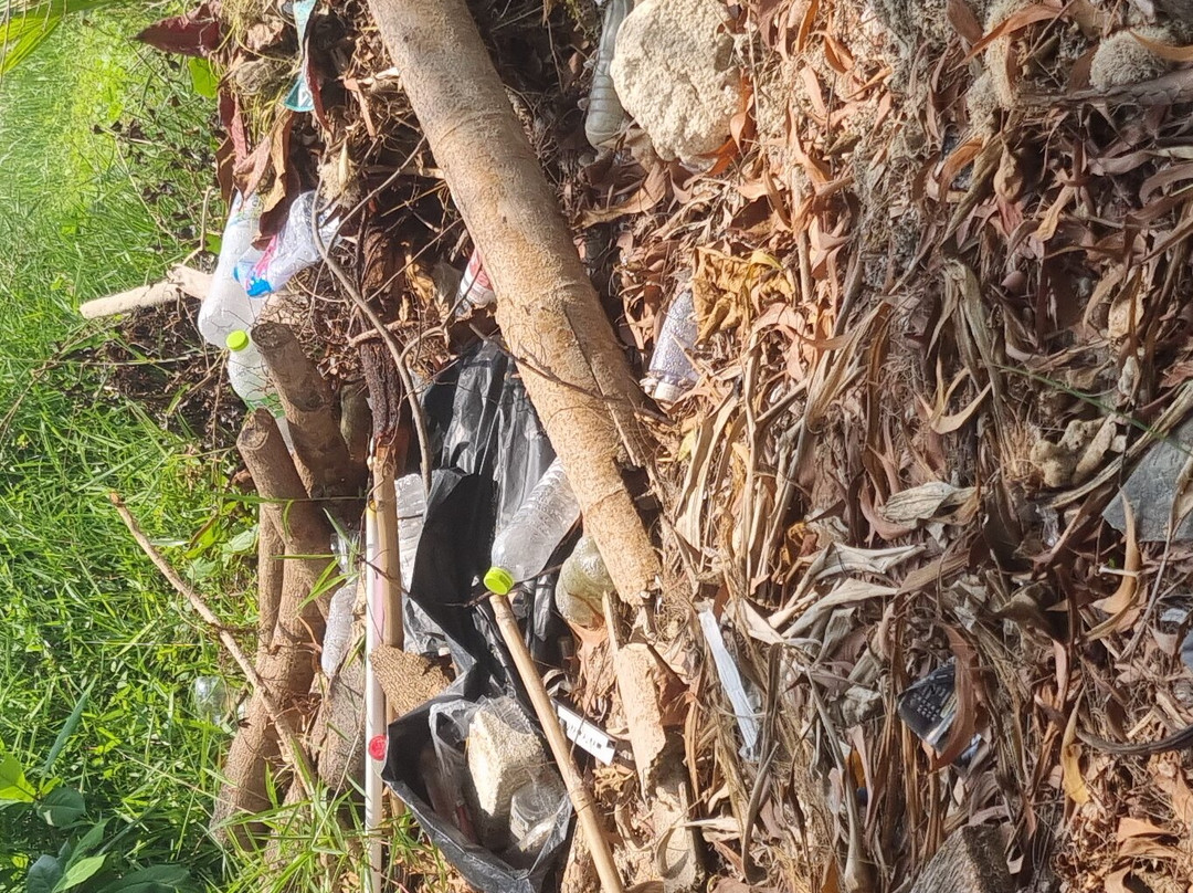 Tiki Beach Koh Phangan主图