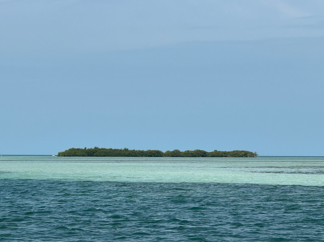 Backcountry Boat Rentals-Sugarloaf Key必去景点