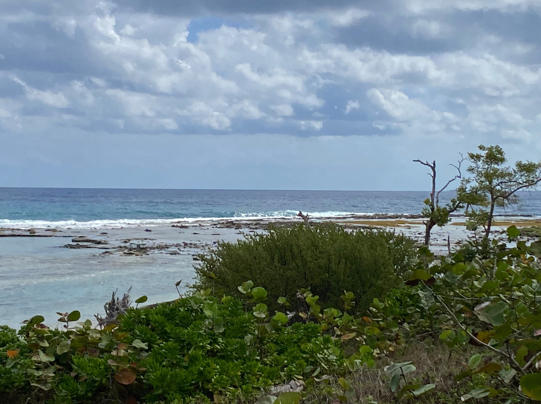 Varadero Jeep Safari-巴拉德罗必去景点