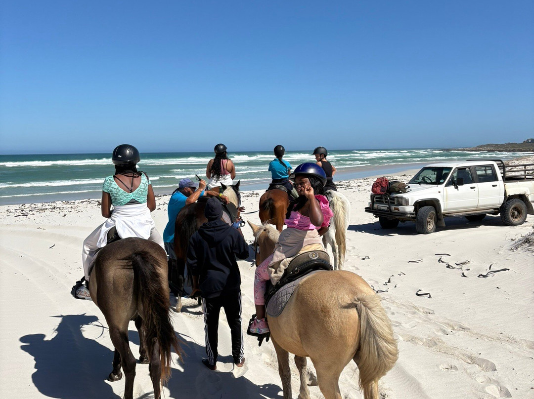 Gansbaai & Pearly Beach Horse Trails-干斯拜必去景点