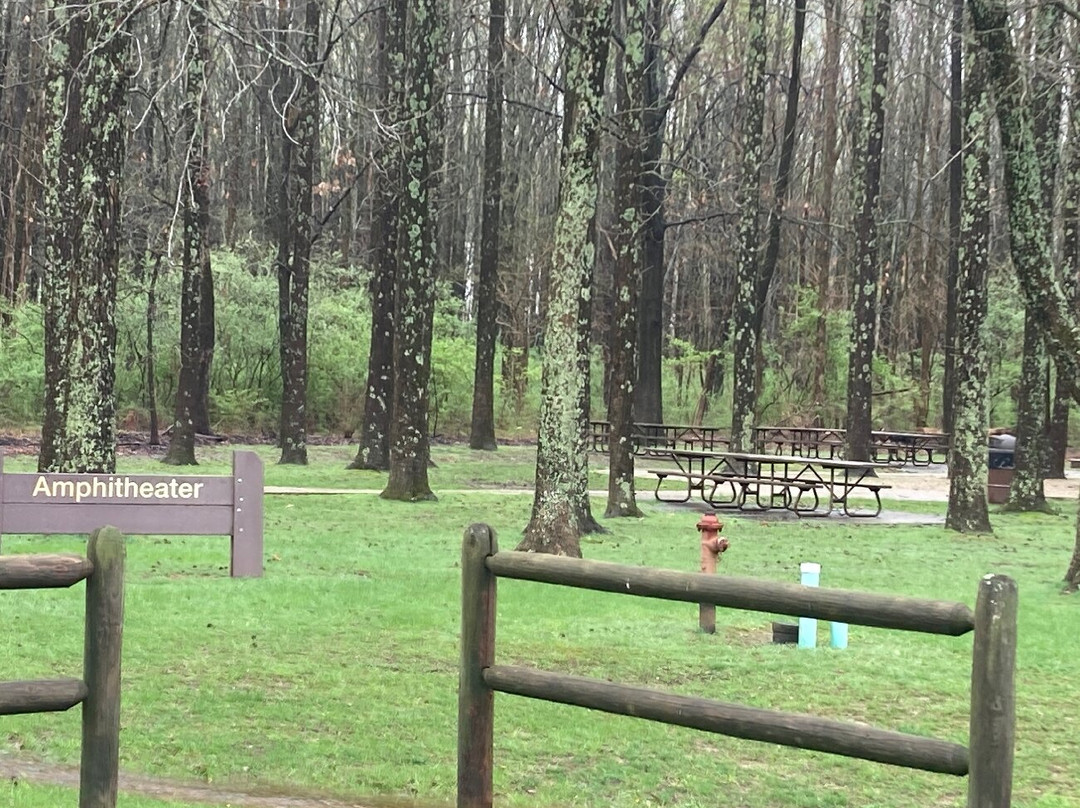 Beall Woods State Park-Mount Carmel必去景点