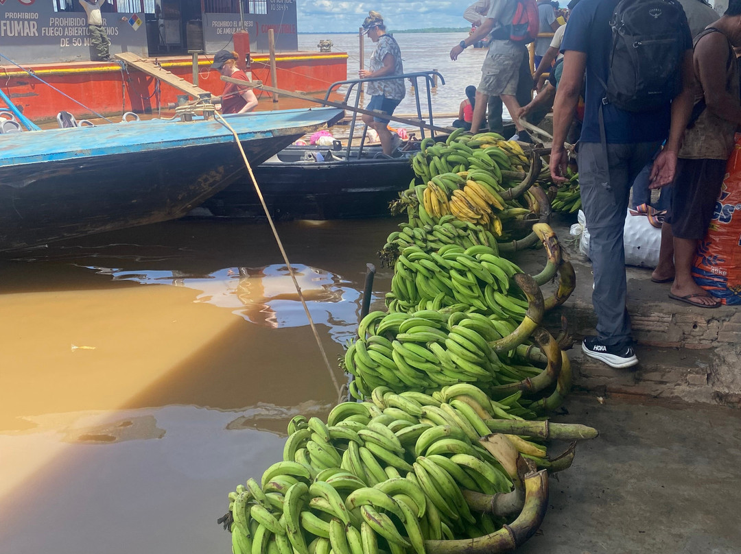 Jungle Experiences-伊基托斯必去景点