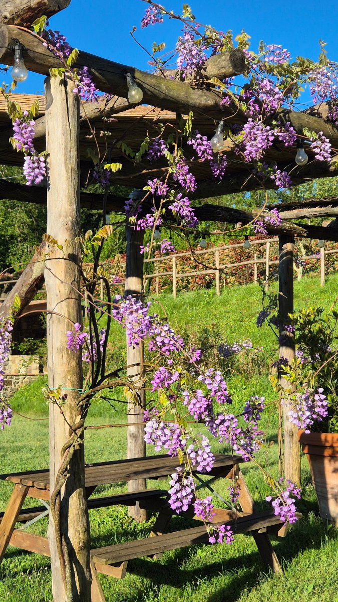 Agriturismo I Giunchi-官方