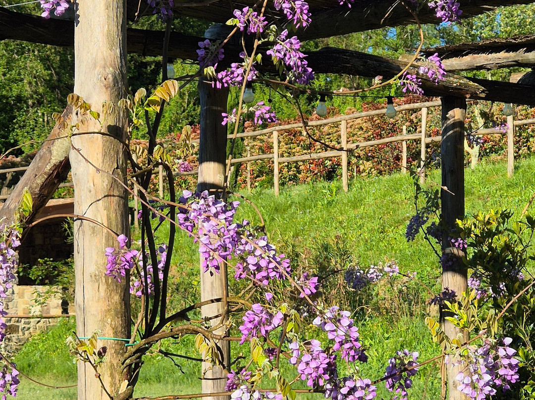 Agriturismo I Giunchi主图