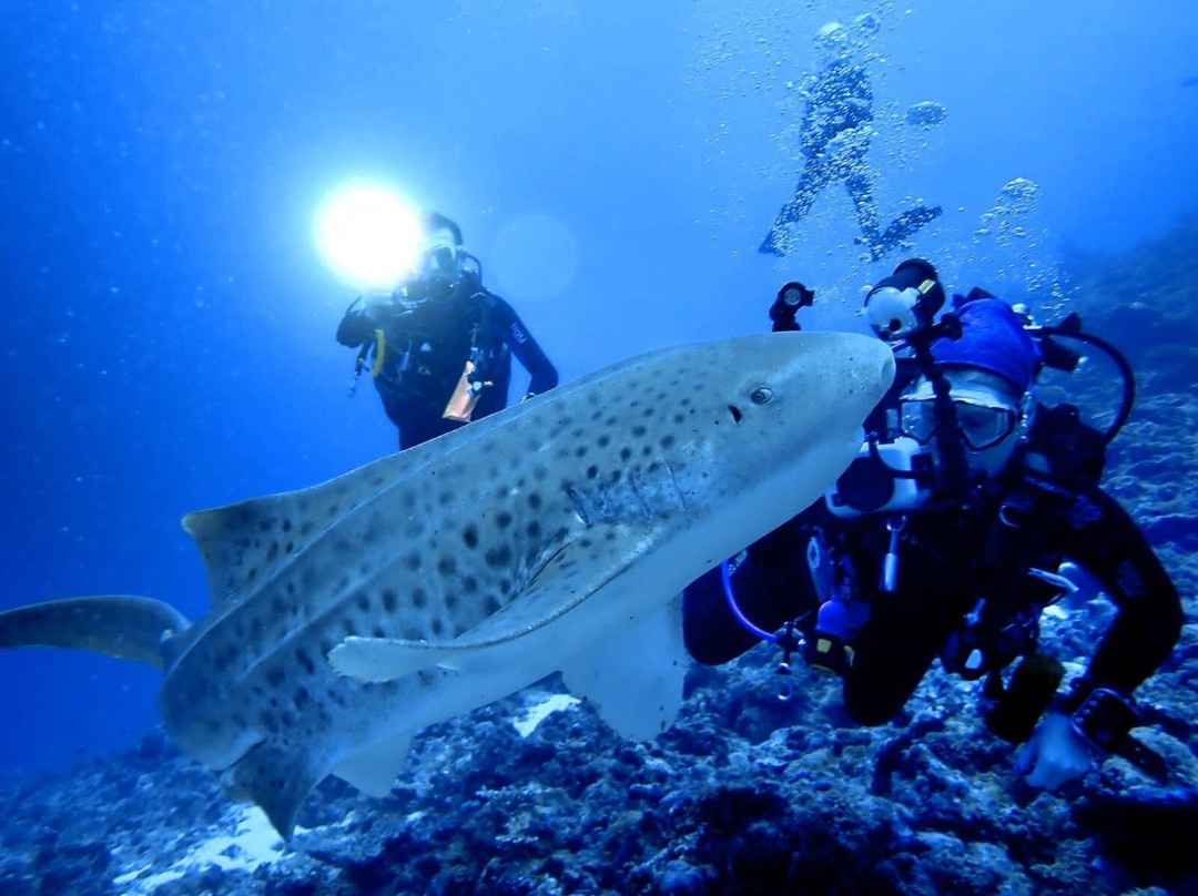 Euro-Divers Club Med Kani-卡尼翡诺岛必去景点