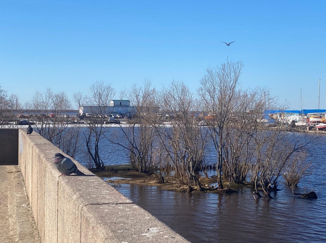 Severnaya Dvina Embankment-阿尔汉格尔斯克必去景点