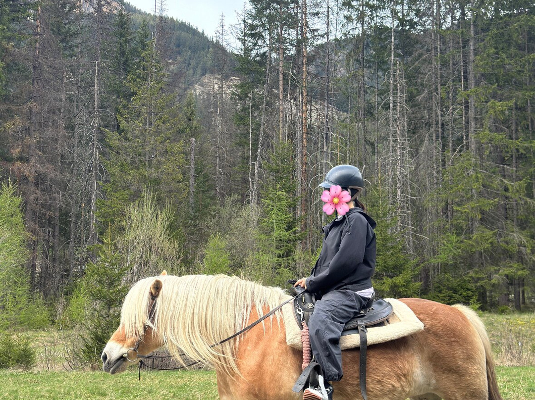 Charlotte Horse Riding景点图片