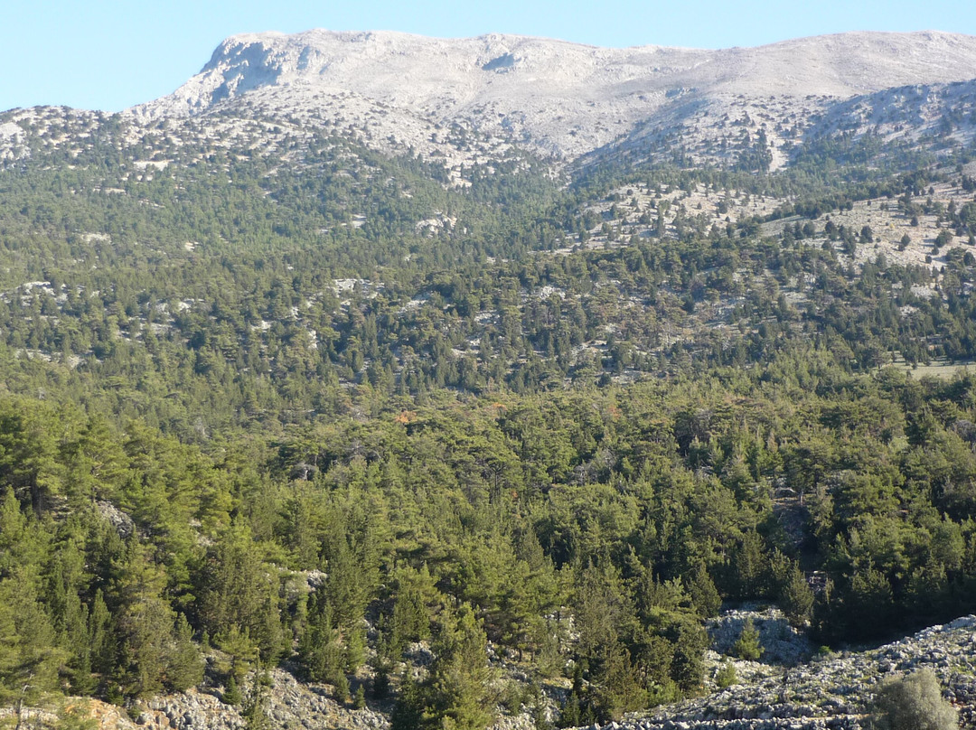 Guesthouse Alonia主图