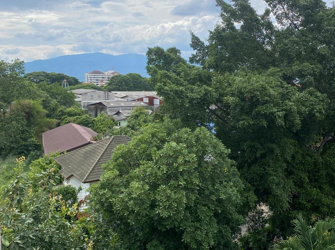 雨林精品酒店主图