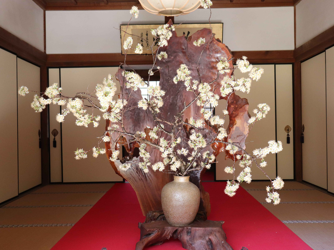 Kongorin-ji Temple Honbo Myojuin-爱庄町必去景点