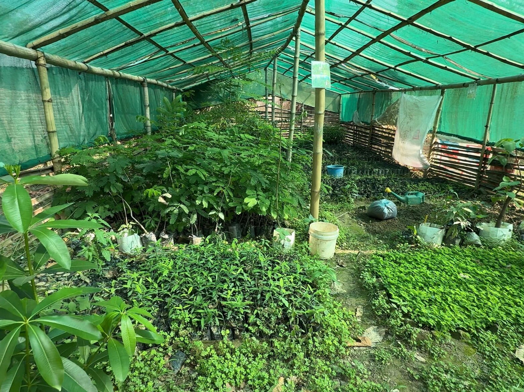 Wild Trails Nepal-Thakurdwara必去景点