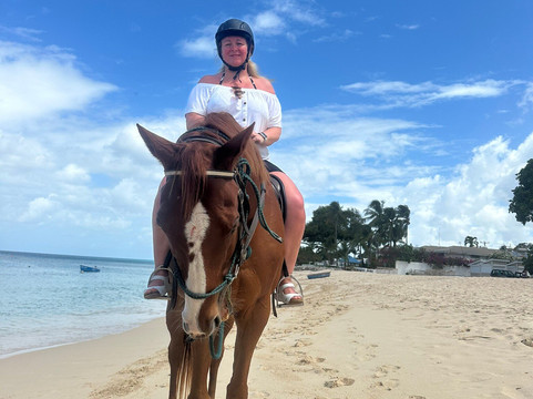 Five Gaits Equestrian Center-布里奇顿必去景点