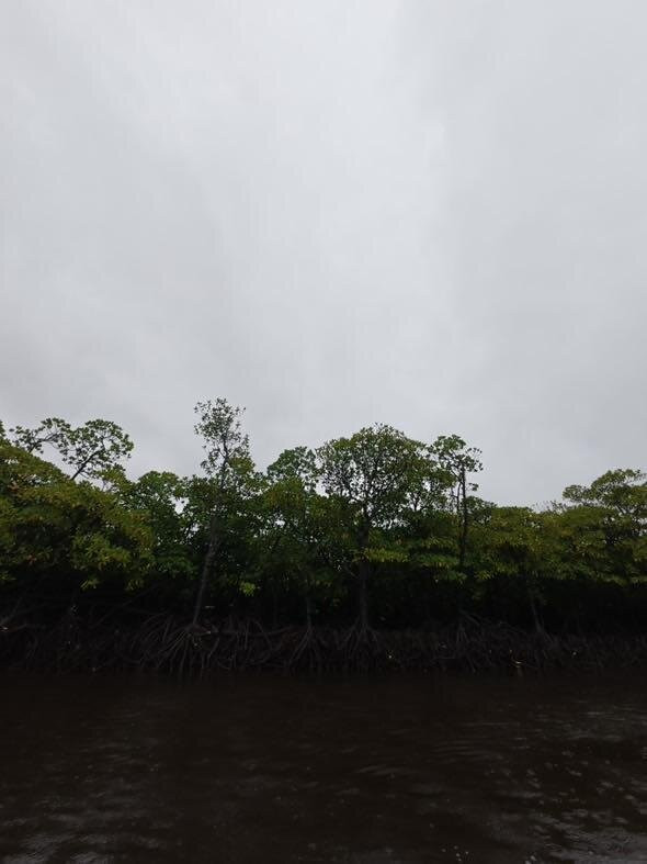 IRIOMOTE ADVENTURE PiPi-竹富町西表岛必去景点