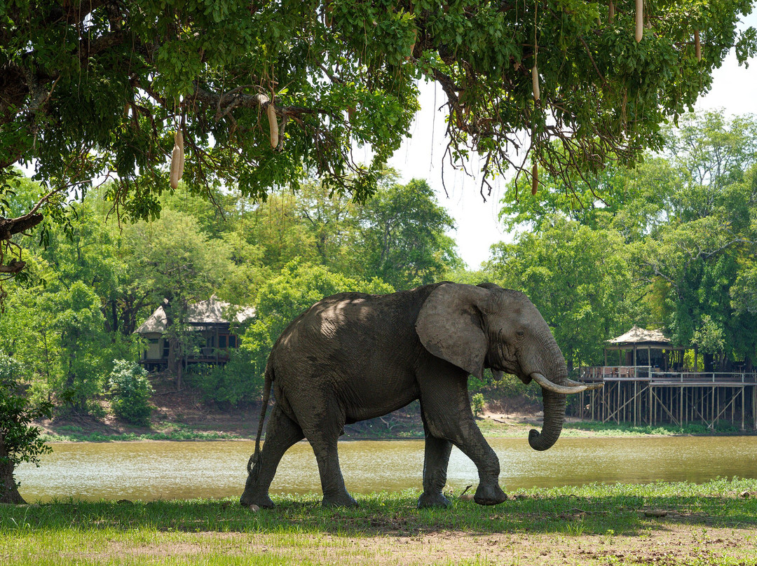 Chindeni Bushcamp - The Bushcamp Company主图