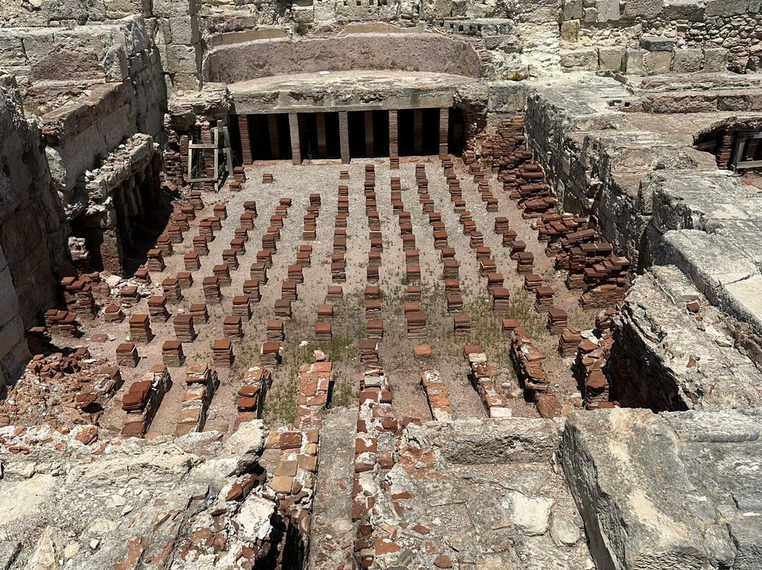 Local Archaeological Kourion Museum景点图片