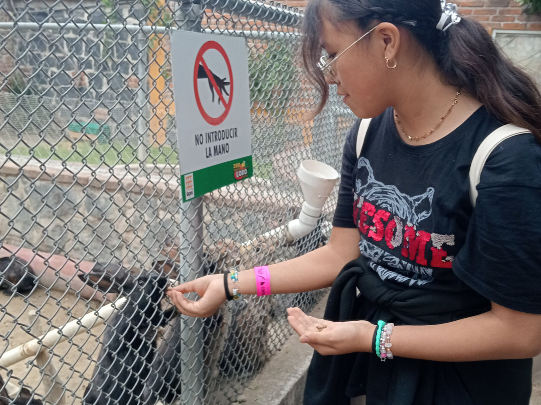 Zoo Parque Loro Puebla景点图片