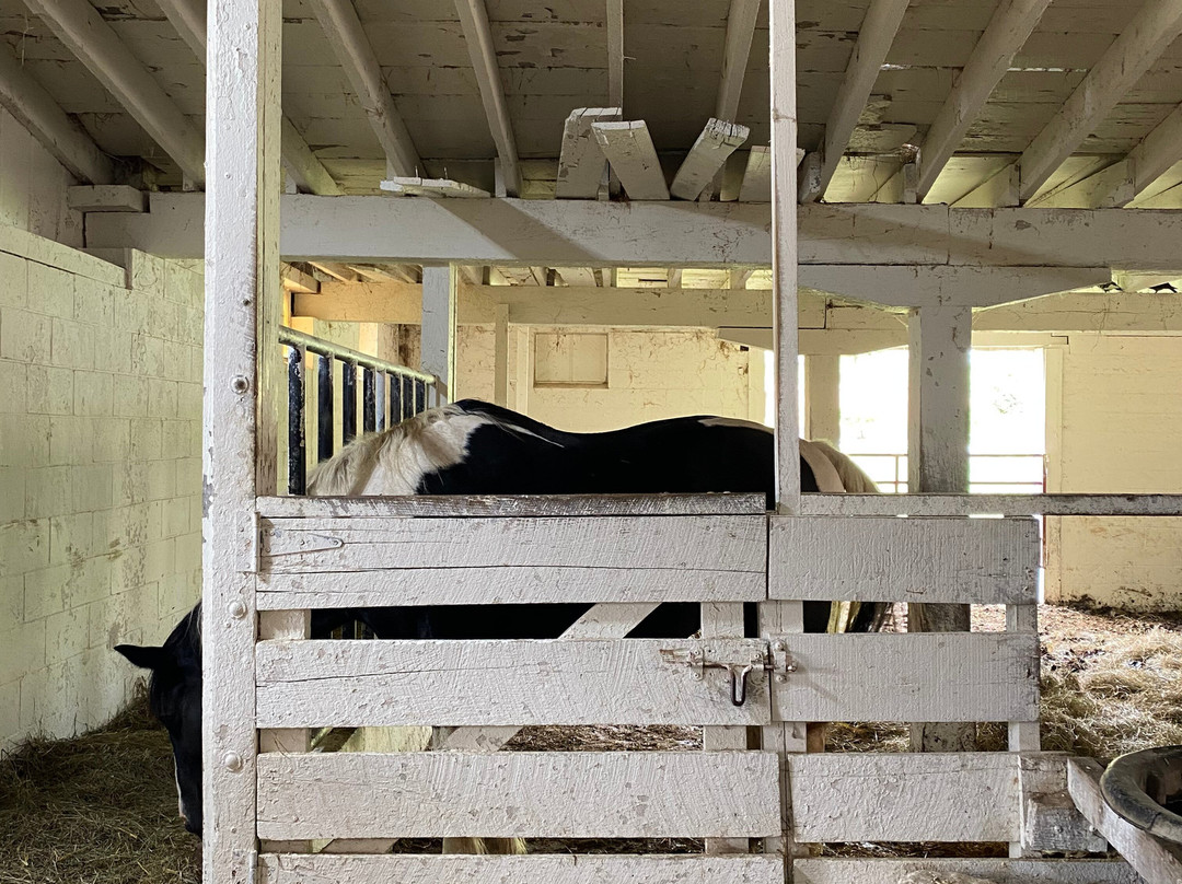 Yoder's Amish Home-Millersburg必去景点