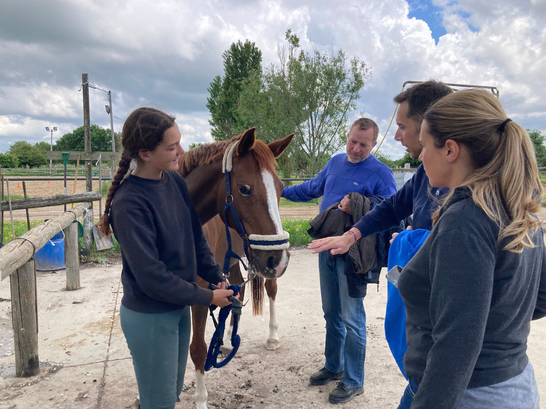 Centre equestre le marais en selle