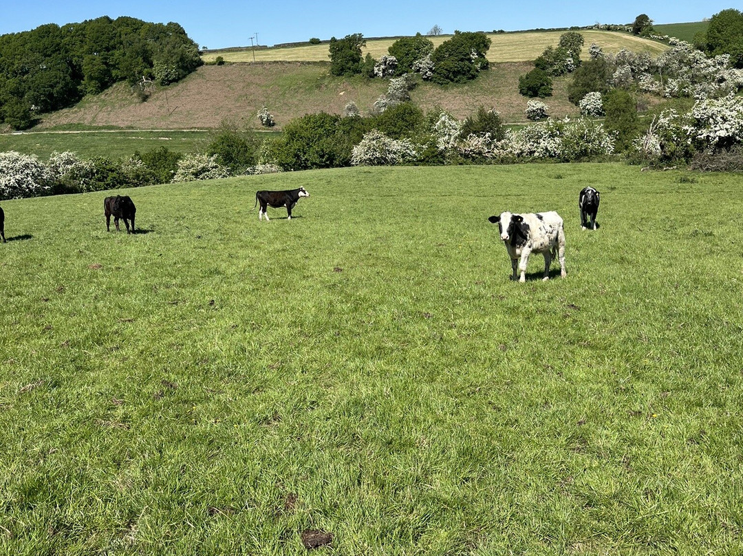 Crich Walk景点图片