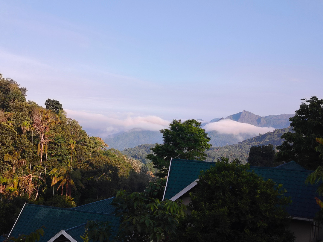 Aveda Mountains And Mist - Munnar主图