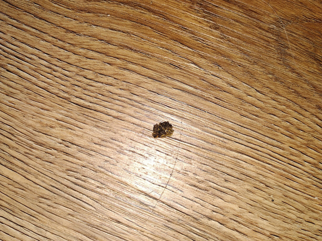 Coratel Inn and Suites By Jasper Hutchinson主图