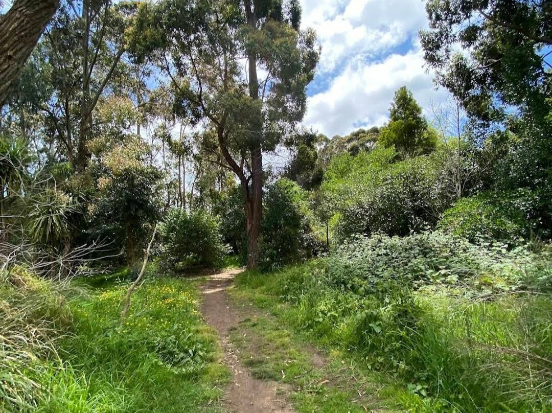 Waiatarua Reserve景点图片