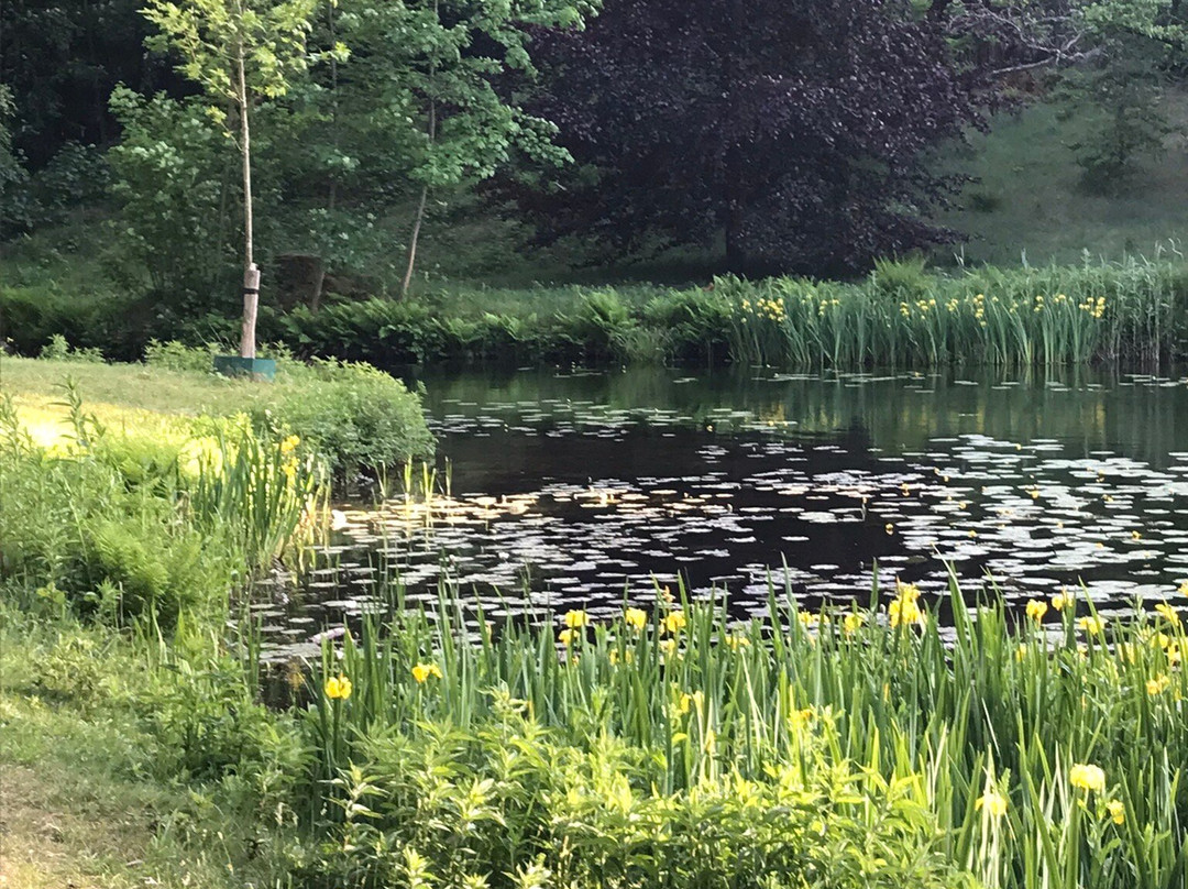 Elswout wandel-park van Staatsbosbeheer景点图片