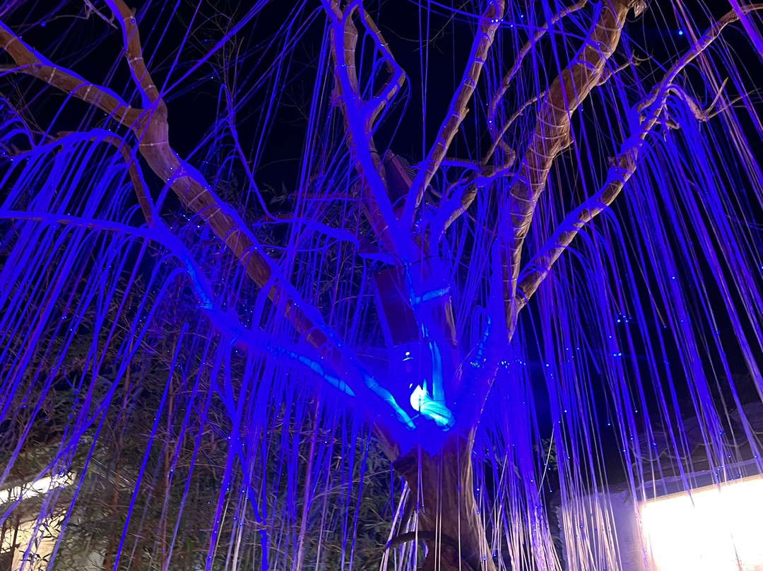 河下古镇-淮安市必去景点