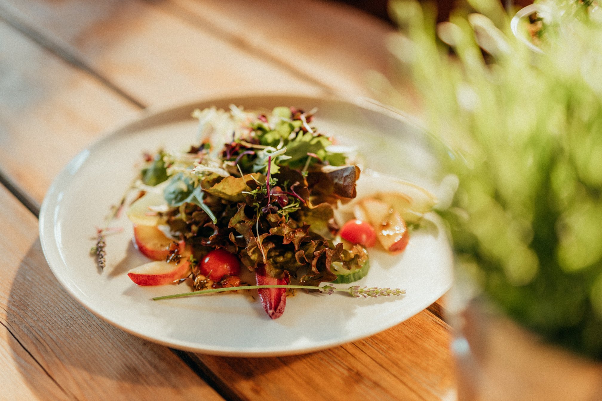 Waldhotel am Fichtelsee-餐饮