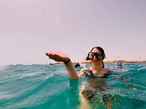 Blue Submarine Egypt-马萨阿拉姆必去景点