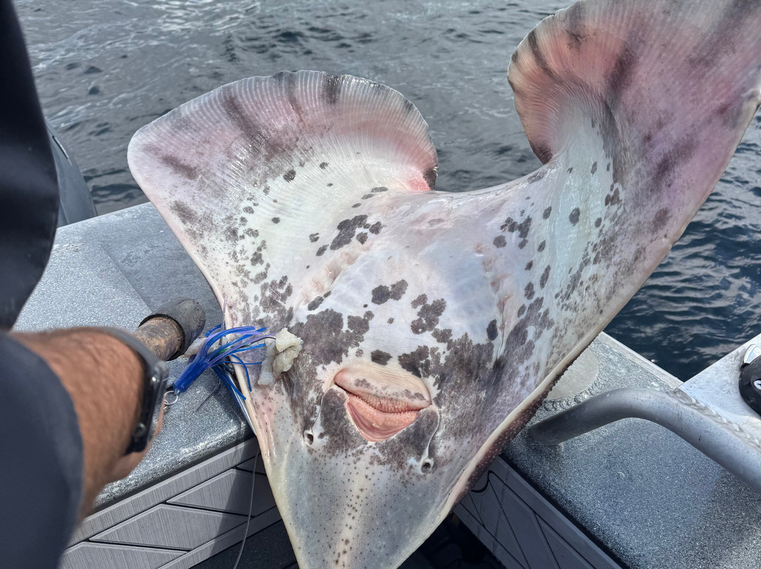 Svenson Sportfishing-凯奇坎必去景点