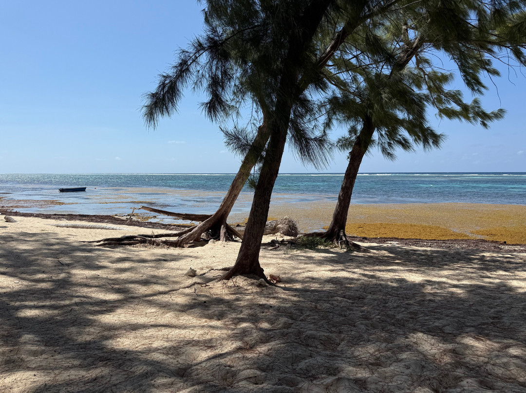 ECO Rides Cayman-East End必去景点