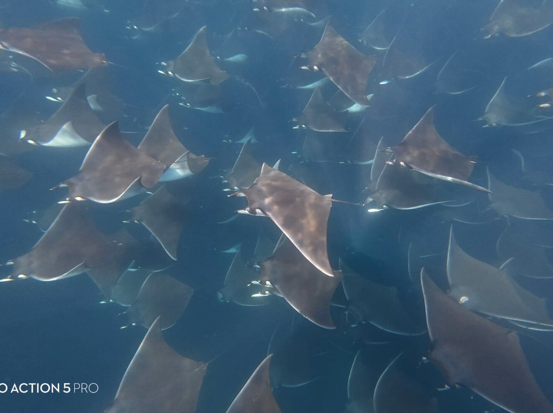 Baja Wild Encounters-La Ventana必去景点