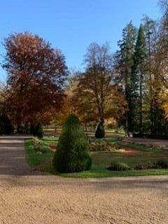 Forest Park Vittel-维特尔必去景点