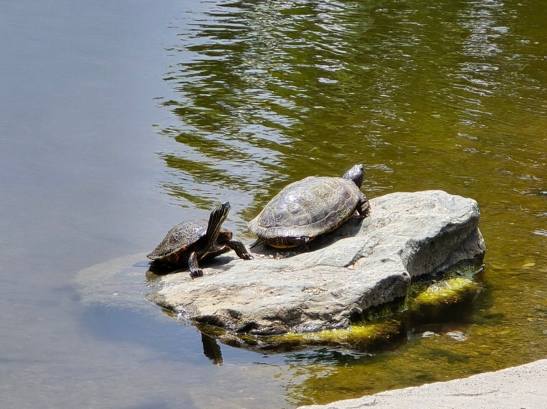 Cox Arboretum MetroPark-Kettering必去景点