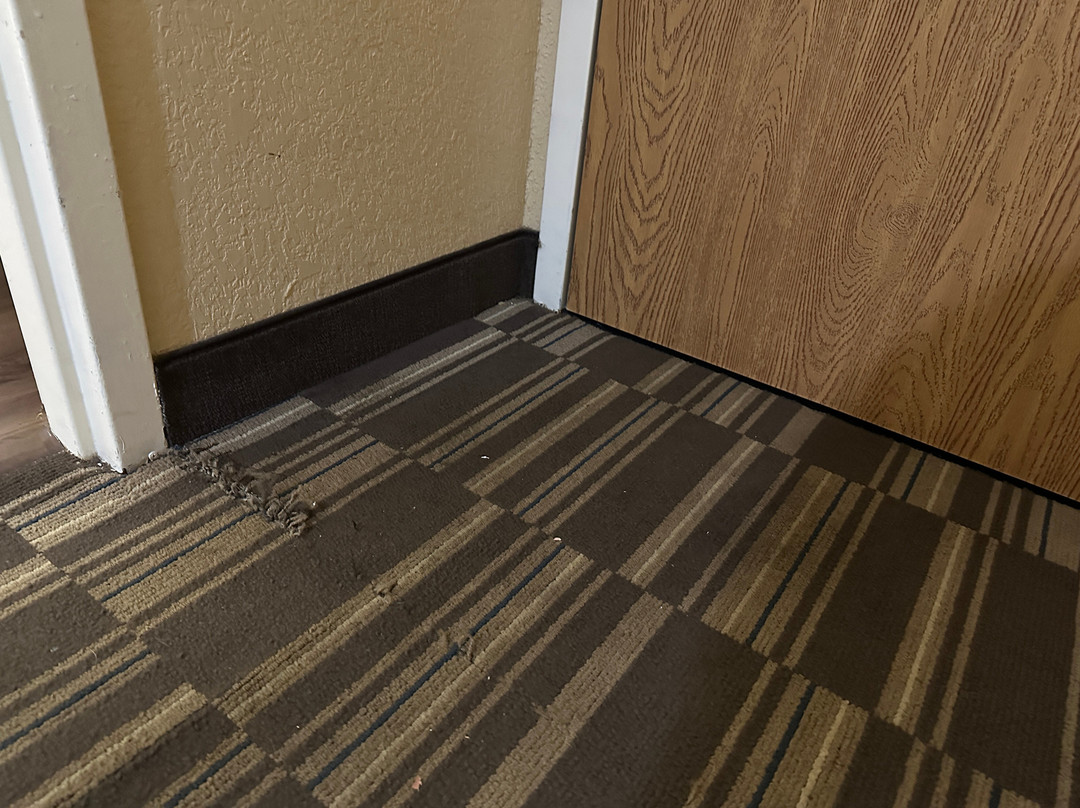 Microtel Inn & Suites by Wyndham Ocala主图