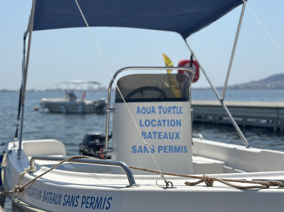 Aqua Turtle Balaruc景点图片