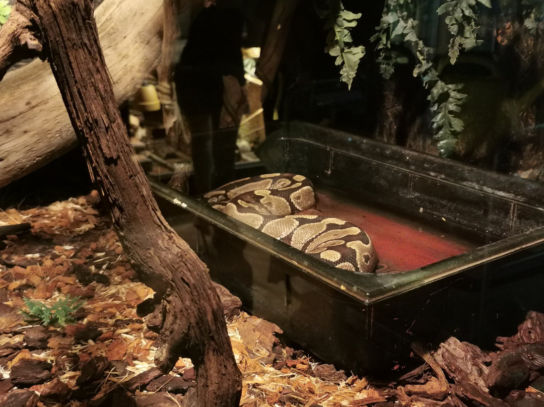 Aquarium Terrarium-克尔克必去景点