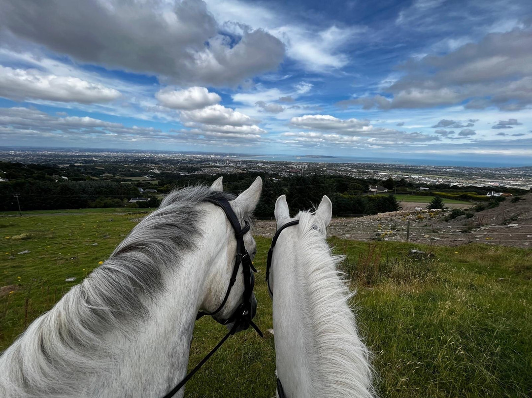The Paddocks Riding Centre景点图片