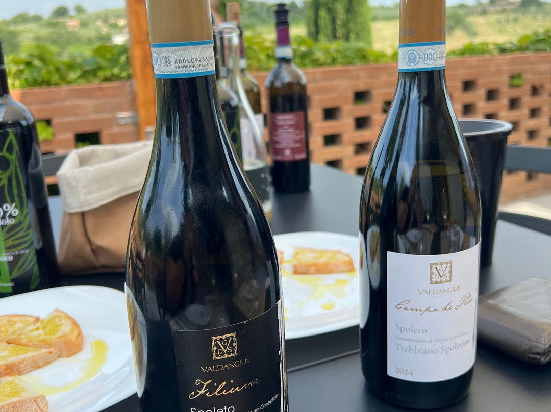 Cantina Valdangius-Montefalco必去景点