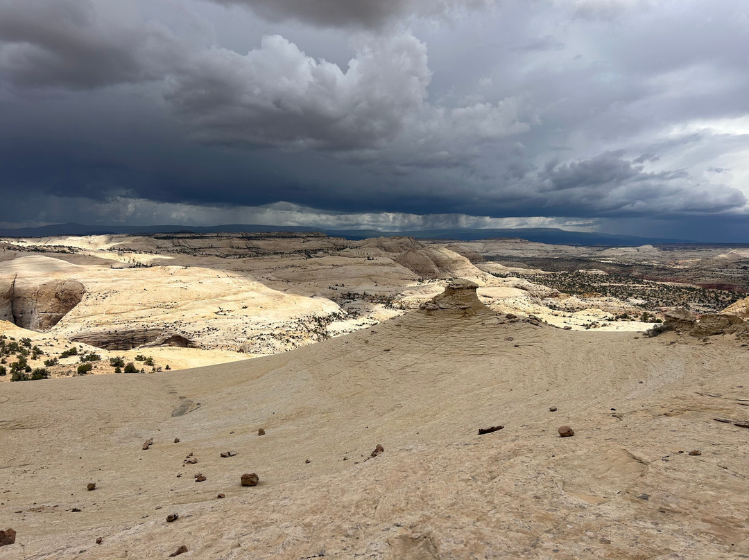 Utah Slickrock Guides景点图片