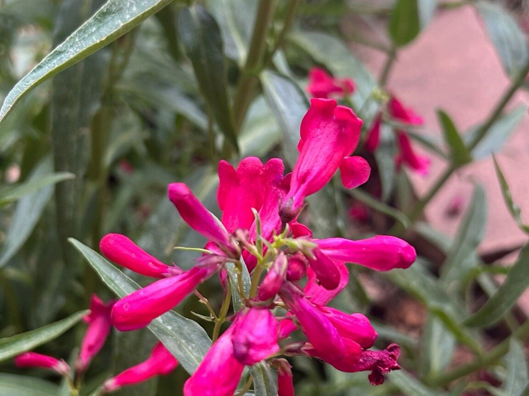 New Mexico Museum Of Art-圣菲必去景点