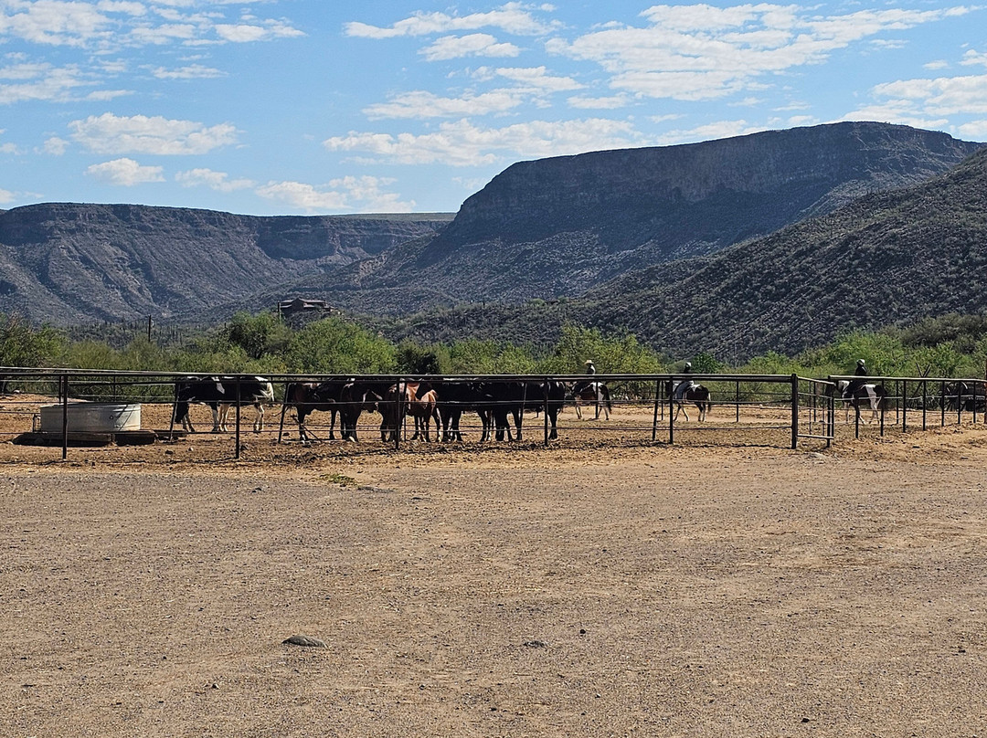 Western Destinations Canyon Creek Ranch - Tours-凤凰城必去景点