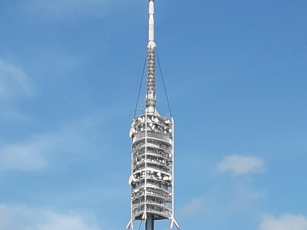 科塞罗拉塔-巴塞罗那必去景点