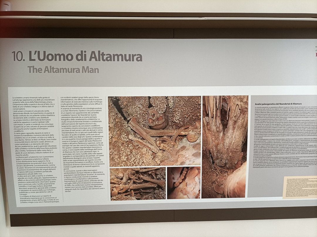 Museo Nazionale Archeologico di Altamura-阿尔塔穆拉必去景点