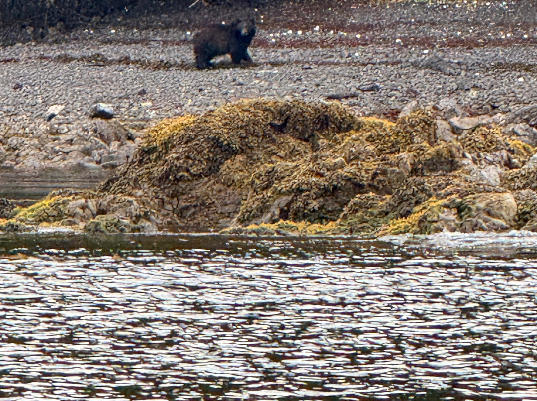 Redsky Wildlife Adventures-Klawock必去景点