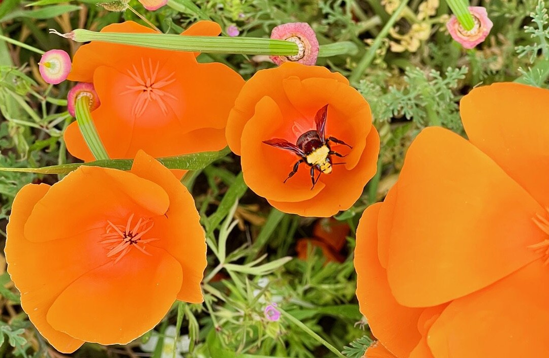 Troon Vineyard-格兰茨帕斯必去景点