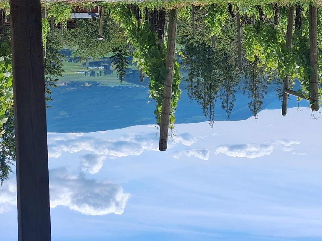 Larch Hills Winery-萨蒙阿姆必去景点