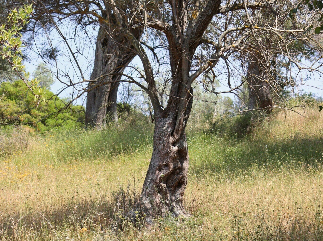 Mythos Studios主图