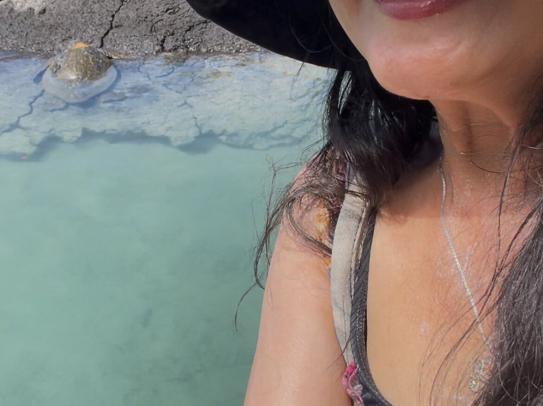 Carlsmith Beach Park-希洛必去景点